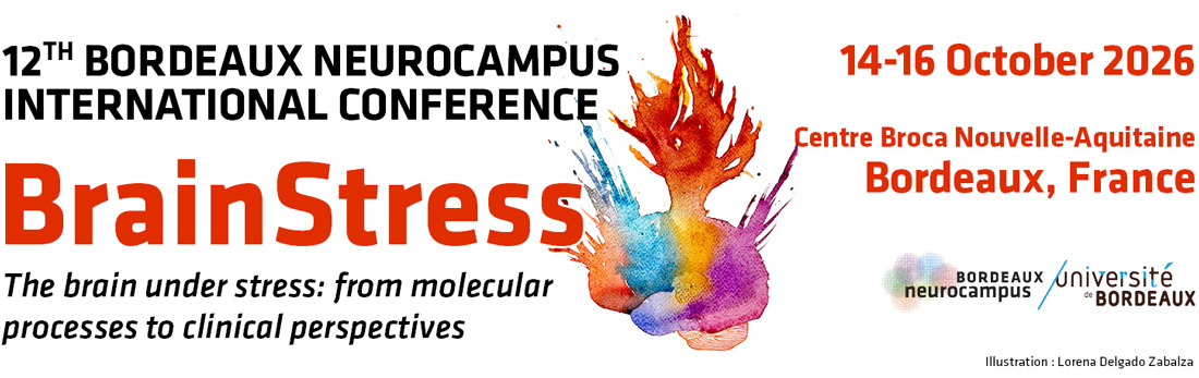 BrainStress - Brain under stress, from molecular processes to clinical perspectives>